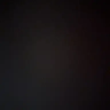 Profile image of 료미