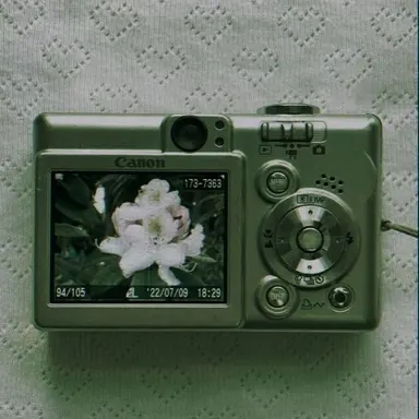Profile image of 정공룡