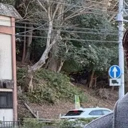 Profile image of 山中柔太朗