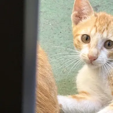 Profile image of 빈