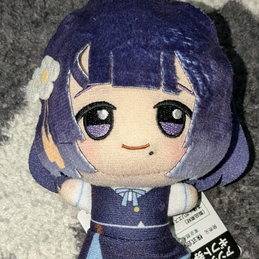 IdleYear6262의 ぬいぐるみ