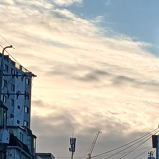 조선시대 뜰팁