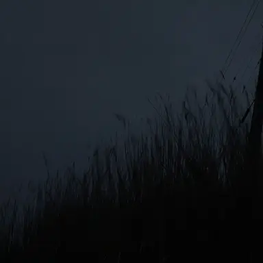 Profile image of 禪院 直哉