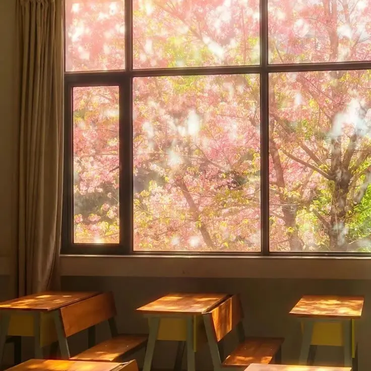 user71991435448868의 교생쌤들