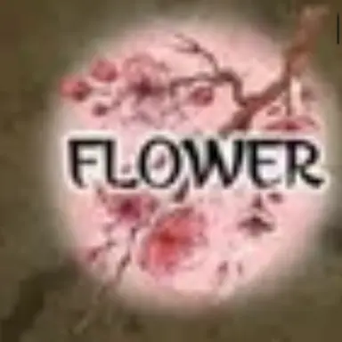 Profile image of 파리타