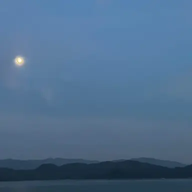 Profile image of 同僚