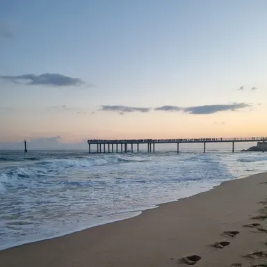 Profile image of 팀나빠