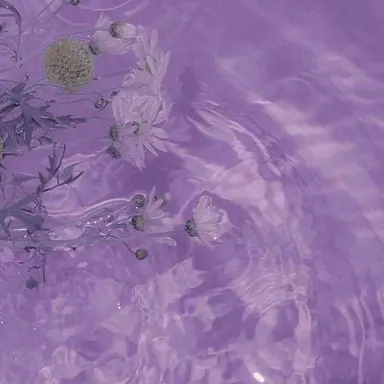 Profile image of 수현