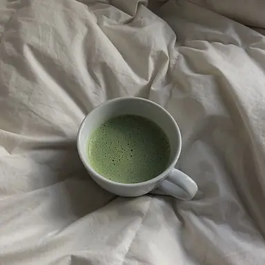 Profile image of 공룡