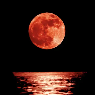 Profile image of THE SECOND MOON