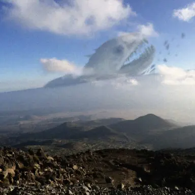 Profile image of BEHEMOTH