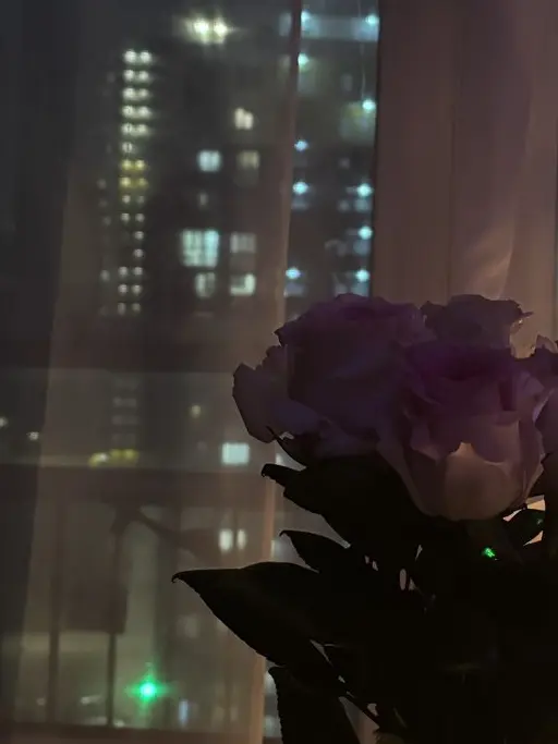 tomatoredpepper의 引っ越し