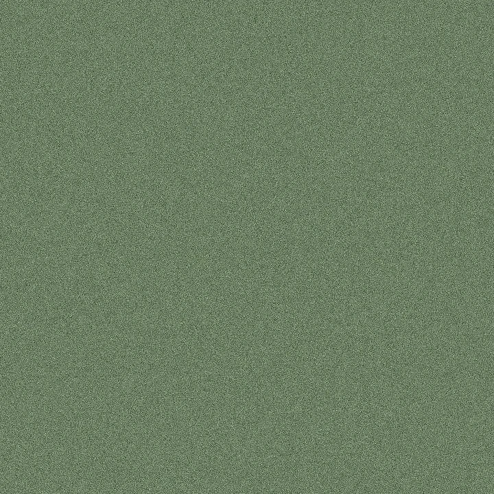 파라다이스