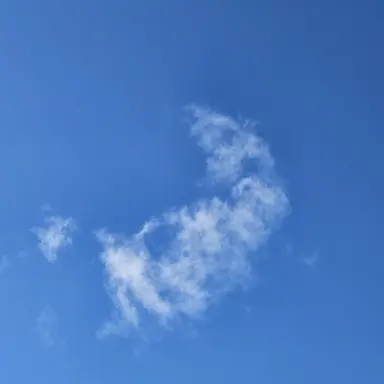 Profile image of 구예린