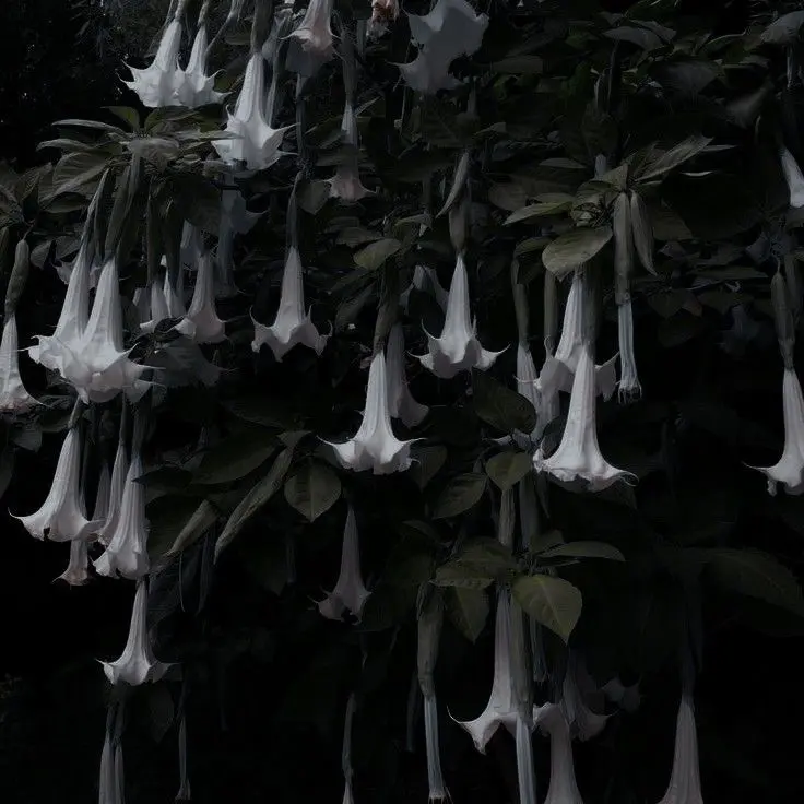 still_far_away의 일장춘몽