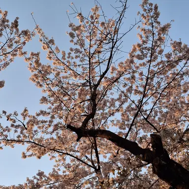 Profile image of 카쿄인 노리아키