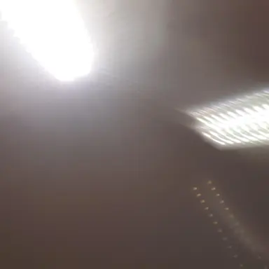 Profile image of 팀나빠