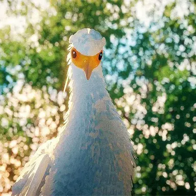 Profile image of Bird