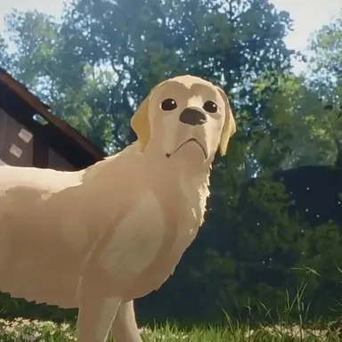 Profile image of Dog