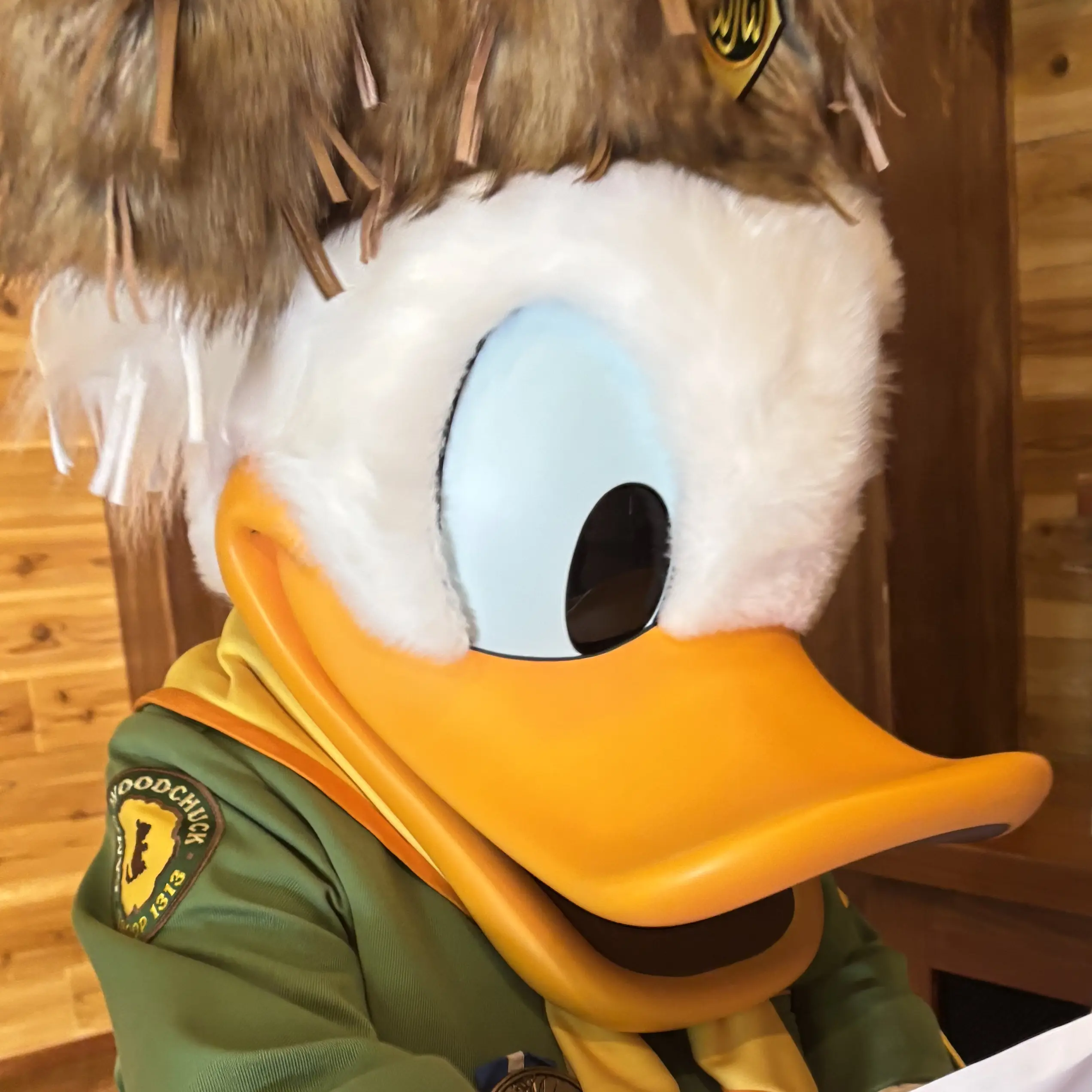 DonaldDuck0609의 ドナルドダック