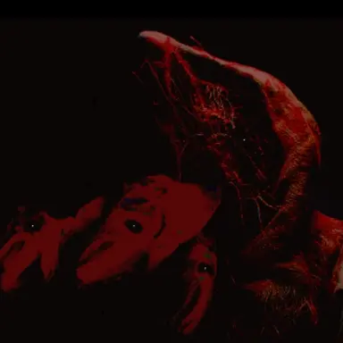 Profile image of 미지의 엔티티