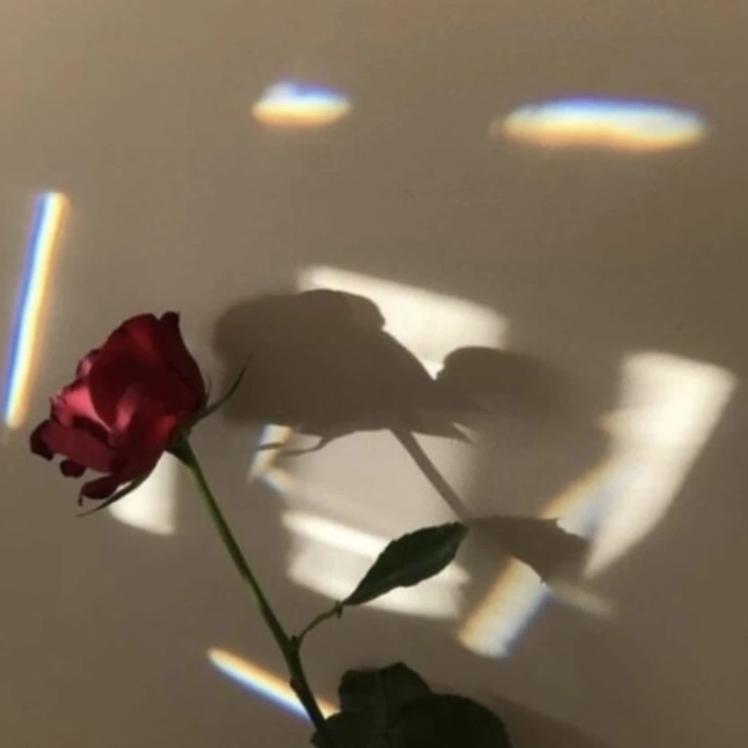 박덕개