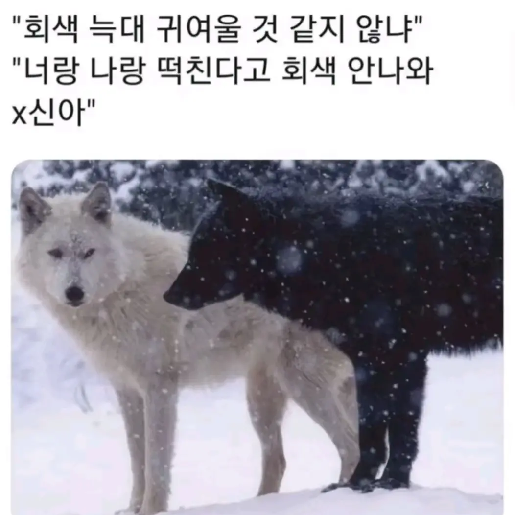 RearVale7168의 개인용임니다.>_<