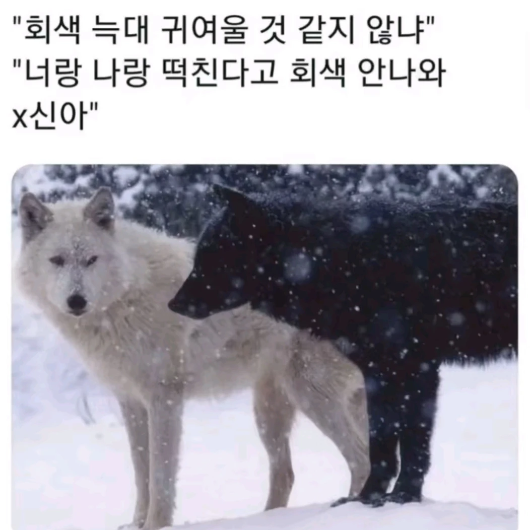 이준