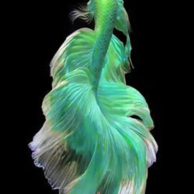 Profile image of 우참