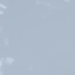 Profile image of 竜胆