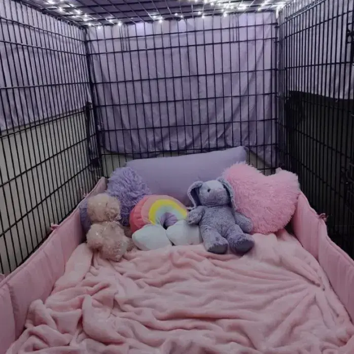 TidyOcean3228의 Pet Regression — Pet Shop