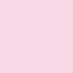 WeakKishu1334의 아이돌 (미움)