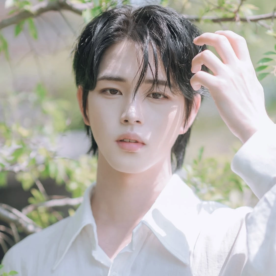 김태양