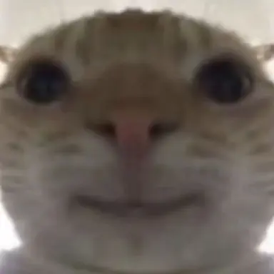 Profile image of 여우