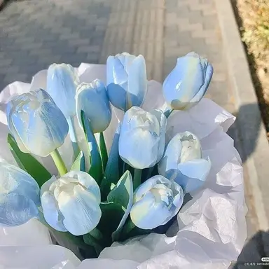 Profile image of 박잠뜰