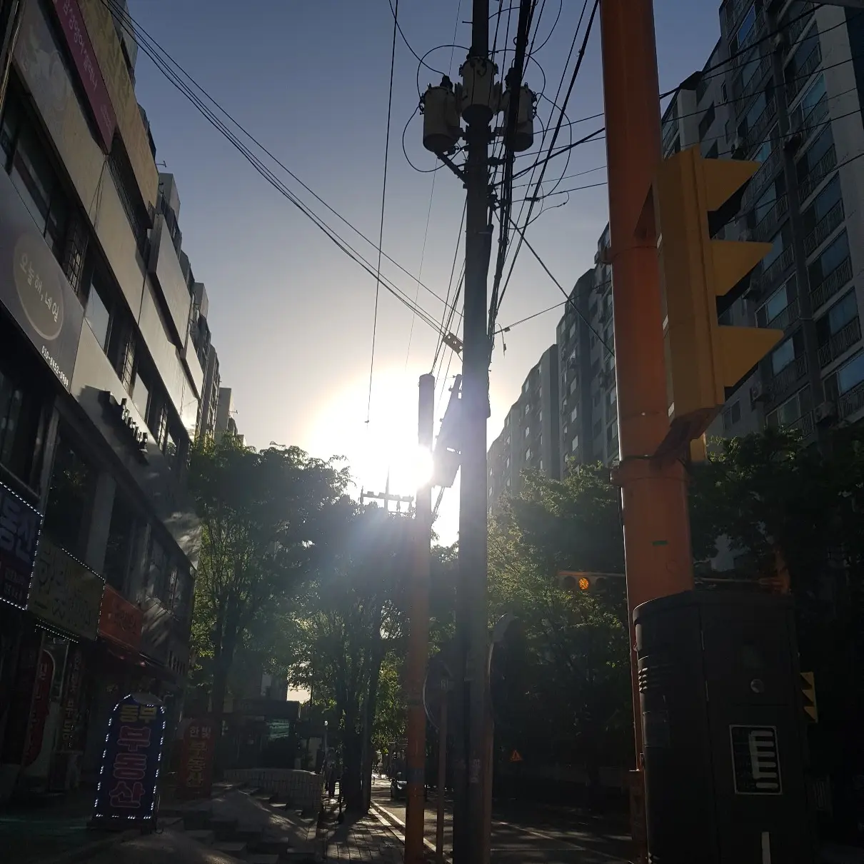 BiasedDiary1071의 여름방학
