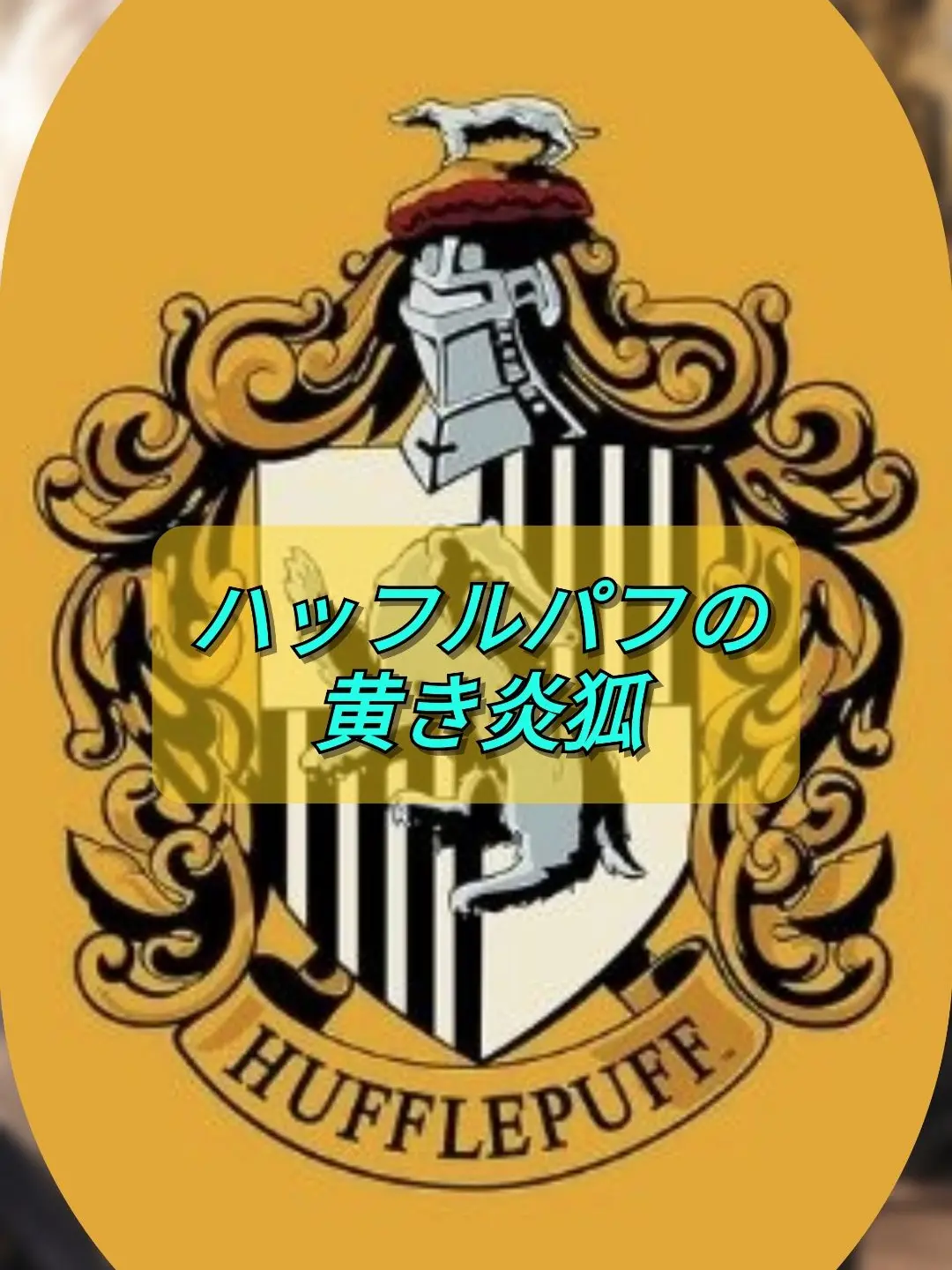 Makoto_49의 ハッフルパフの黄き炎狐