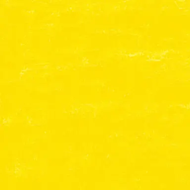 Profile image of 서원준
