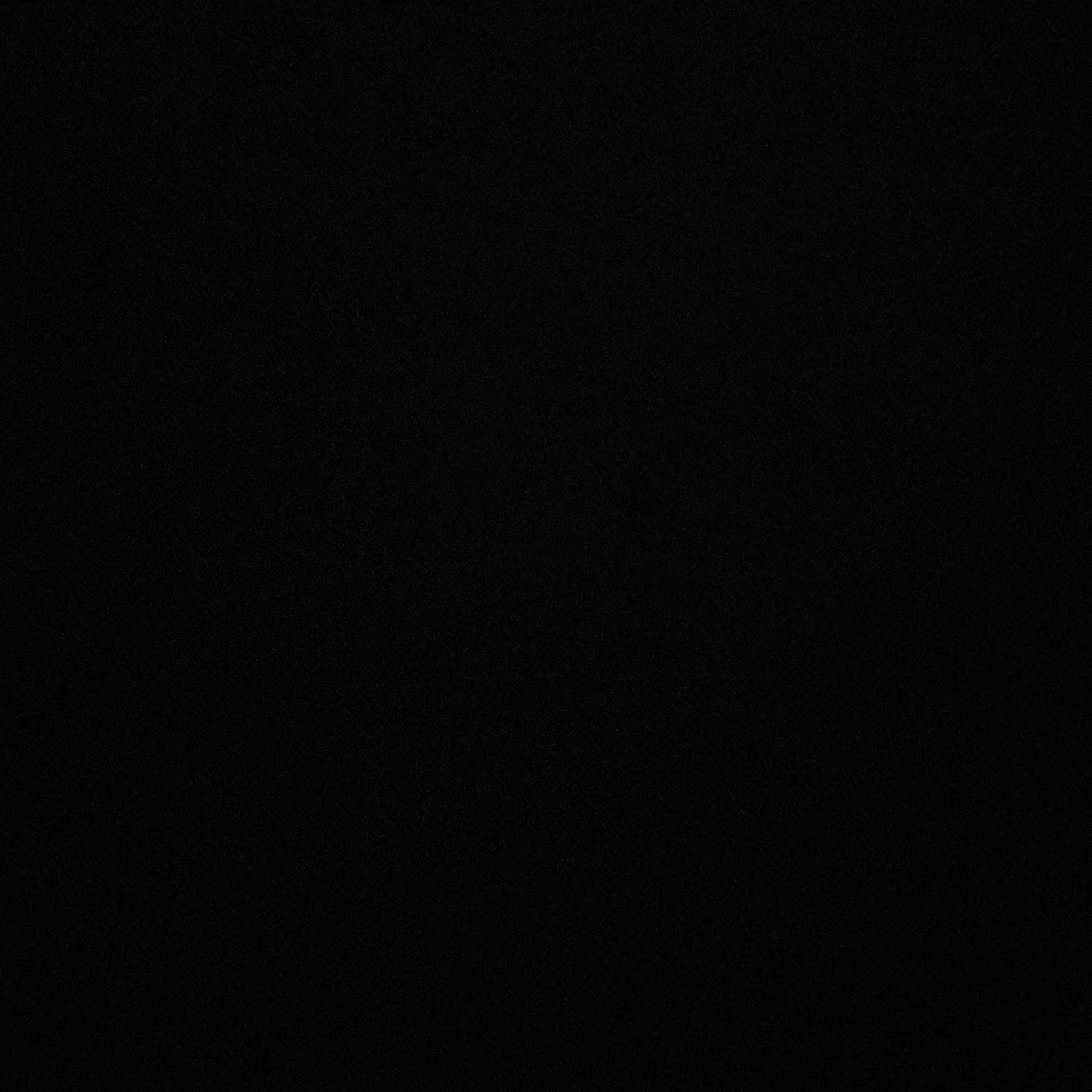 김여우