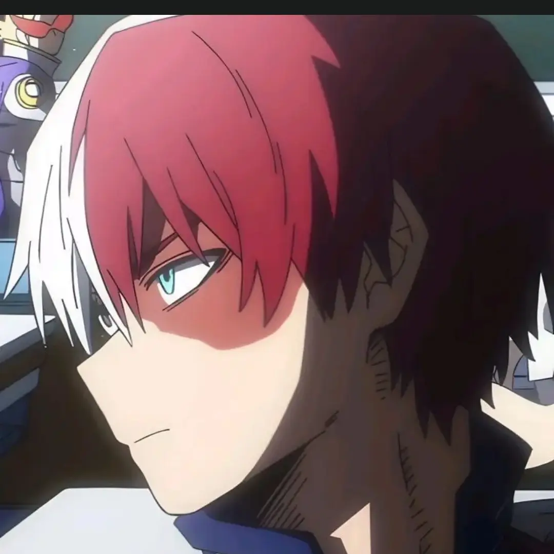 LongPrint8506의 ヒロアカの世界に来た