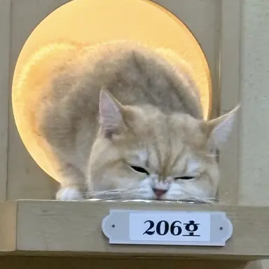 Profile image of 케데헌게이레즈버전