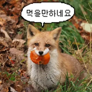 Profile image of 여우