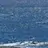 海の街