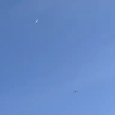 Profile image of 퓨어바닐라