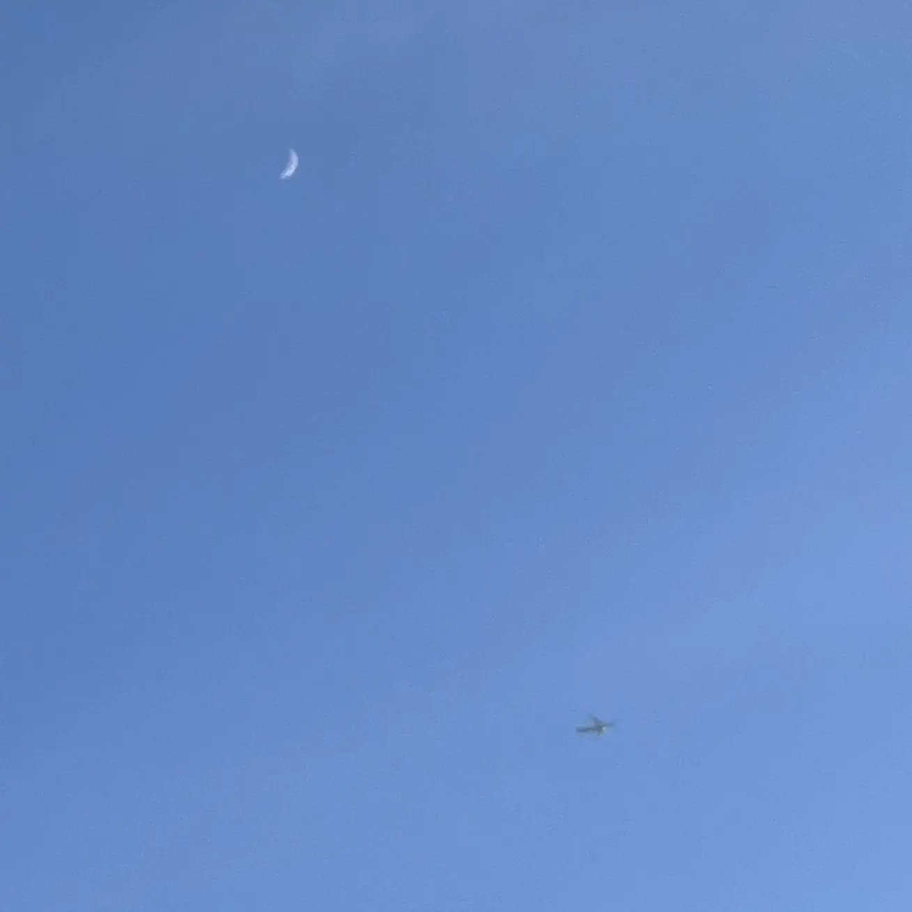 BlandGuest8874의 퓨바세릴(여우+마법학교)