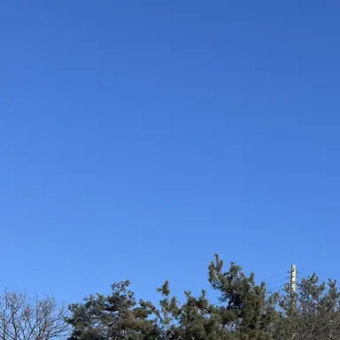 Profile image of 세리