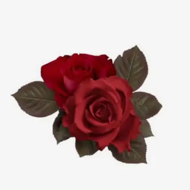 Profile image of ユーコ