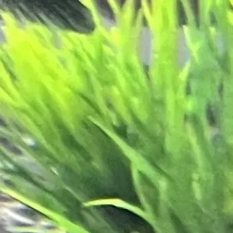 Profile image of 亮平