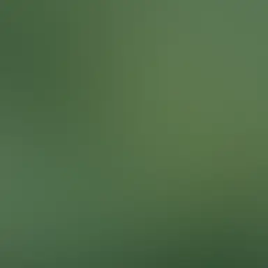 Profile image of かんた