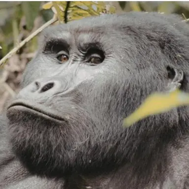Profile image of ブリンちゅ